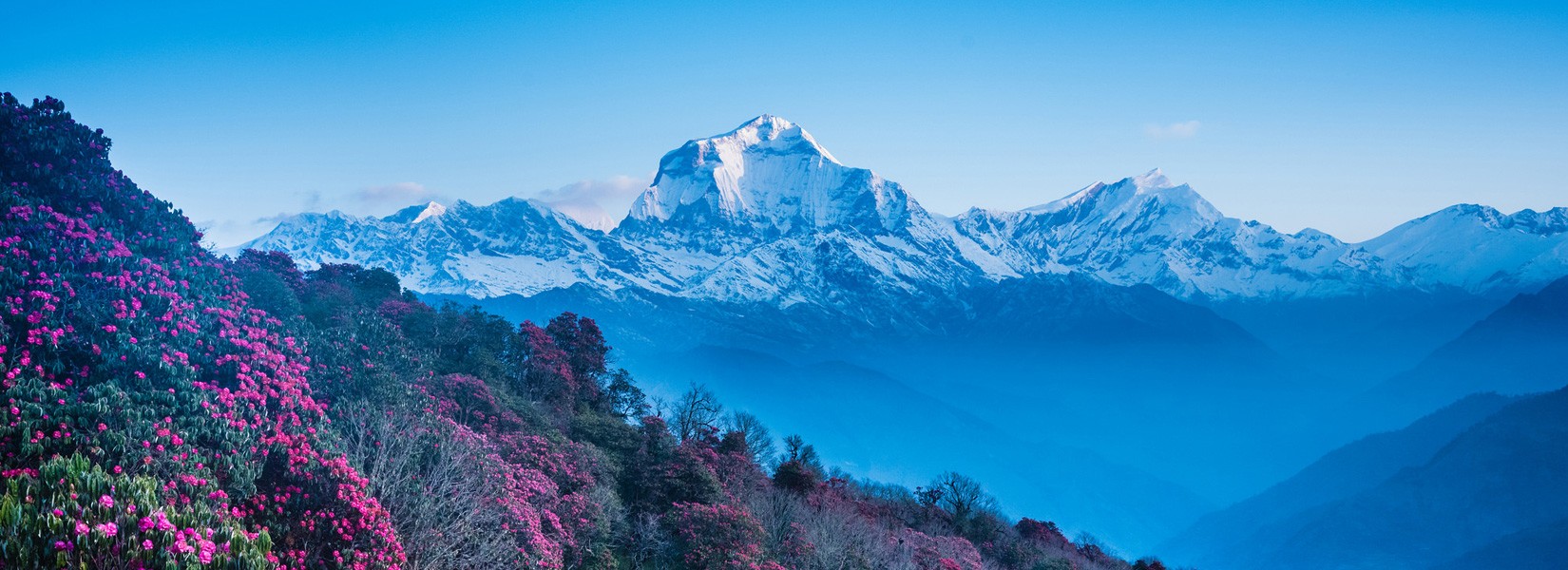 Poon Hill Trek